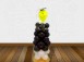GRADUATION SMILEY FACE STAND BALLOON