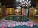 Pool party